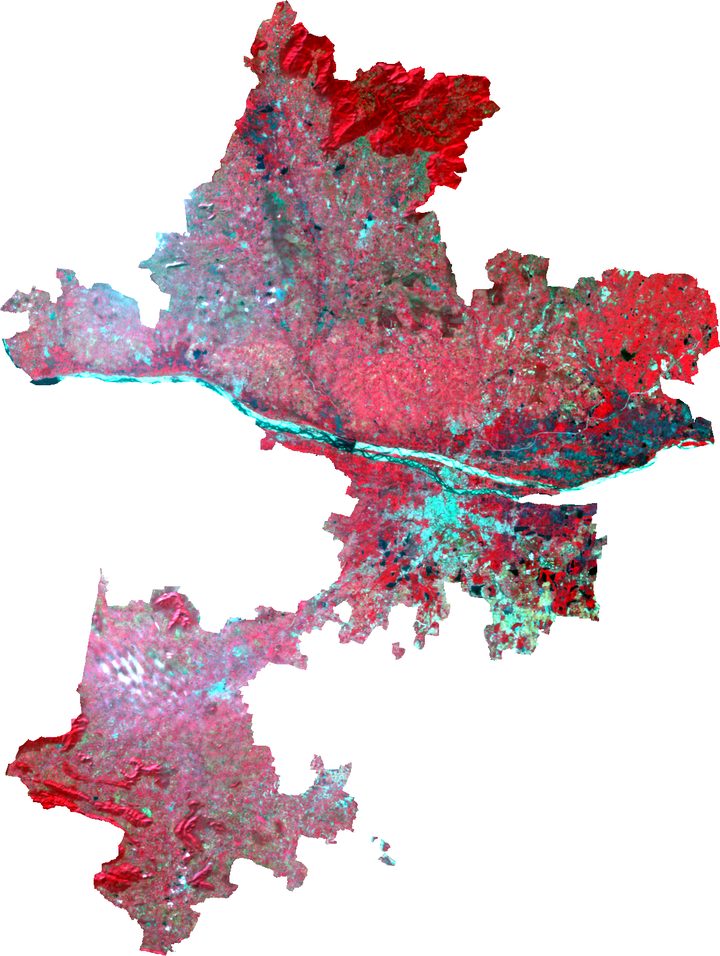 False colour map of Tiruchirappalli district on 13 December 2025, with vegetation in red