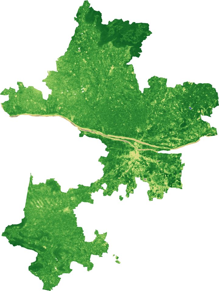 NDVI map of Tiruchirappalli district on 13 December 2025, mostly dark green