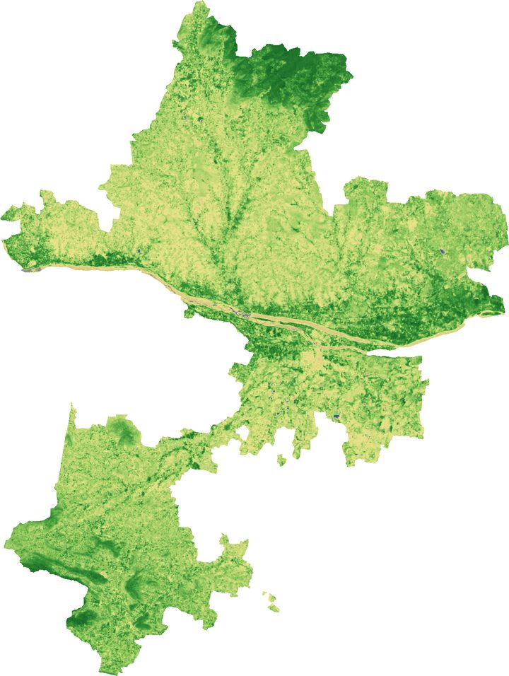 NDVI map of Tiruchirappalli district on 3 March 2026, mostly light green and yellow